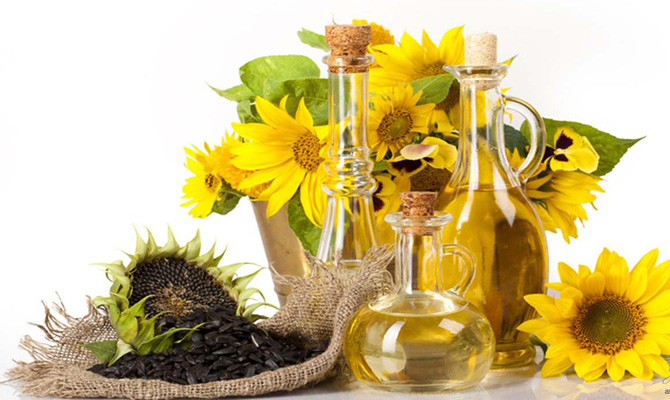 Производство подсолнечного масла увеличилось на 24,5%