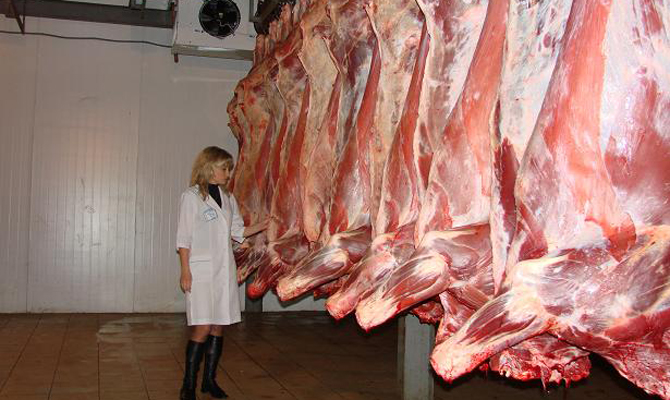 Украина наладит экспорт говядины в Египет