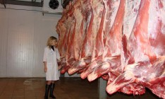 Украина наладит экспорт говядины в Египет