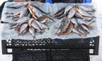 В Украине предлагают поднять плату за вылов рыбы в несколько раз