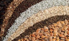 Немецкая компания открыла в Украине семенной завод за 20 млн евро