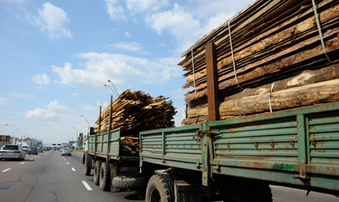 Комитет ВР поддержал запрет отмены моратория на экспорт леса