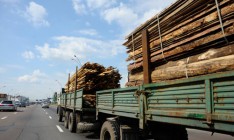 Комитет ВР поддержал запрет отмены моратория на экспорт леса