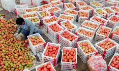 Украина может ввести квоты на импорт еды