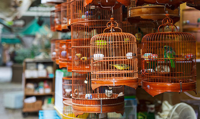 Китай сокращает инвестиции за рубеж