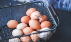Украина отправила более 46 тыс. тонн яиц на экспорт