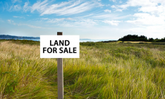 Депутаты планируют снять мораторий на продажу земли