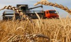 Китайцы могут купить часть украинской зерновой корпорации
