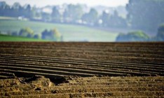 В Украине будет введен оборот земель сельхозназначения