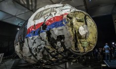 В Нидерланды журналист привез останки пассажира сбитого МН17