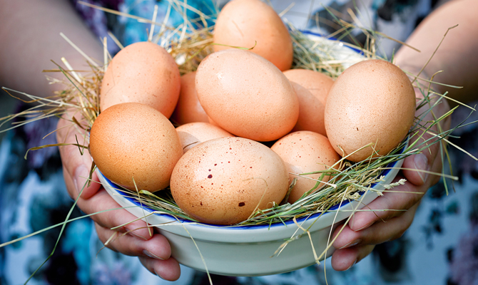Гонконг запретил ввоз яиц и курятины из нескольких регионов Украины