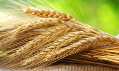 Украина на 60% выбрала евроквоты на импорт пшеницы