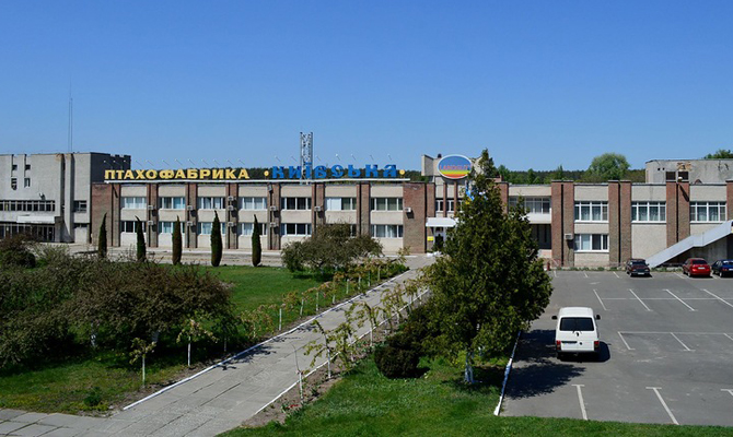 Птицефабрика «Киевская» из-за долгов может остаться без воды