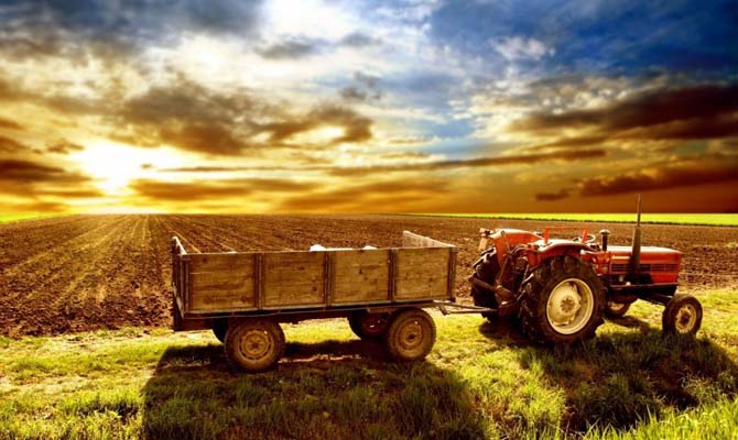 Украину внесли в список мировых продовольственных доноров