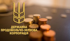 Украина откажется от приватизации ГПЗКУ из-за китайского кредита