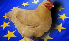 Украина за два месяца выбрала квоты на поставки пшеницы в ЕС