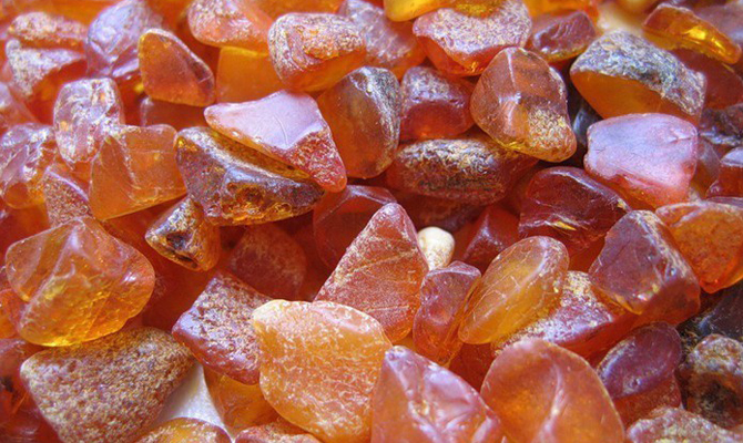 В Житомирской области намерены легализировать добычу янтаря