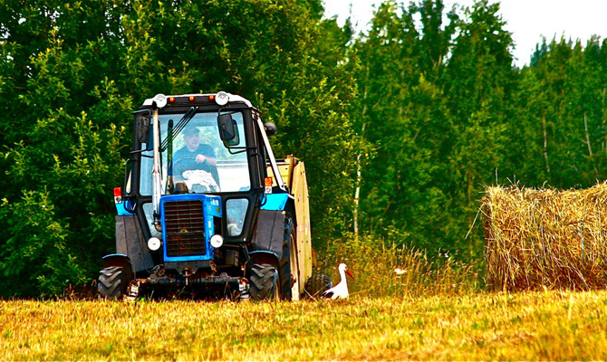 Украинские аграрии закрыли почти 1,8 тысяч предприятий за год