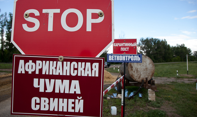 На Кировоградщине ввели карантин из-за АЧС