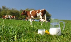 За 16 лет количество работников агросектора уменьшилось почти в два раза