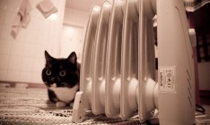 Левый берег Киева может остаться без тепла, - Порошенко