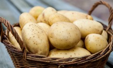 Лидером подорожания в Украине стал картофель