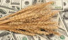 Украина занимает шестое место в мире по экспорту пшеницы
