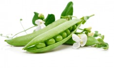 Украина входит в пятерку крупнейших экспортеров гороха