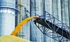 ГПЗКУ в 2017 году планирует закупить 5 млн тонн зерна