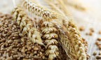 USDA сохранило прогноз экспорта зерновых из Украины на уровне 40,41 млн тонн