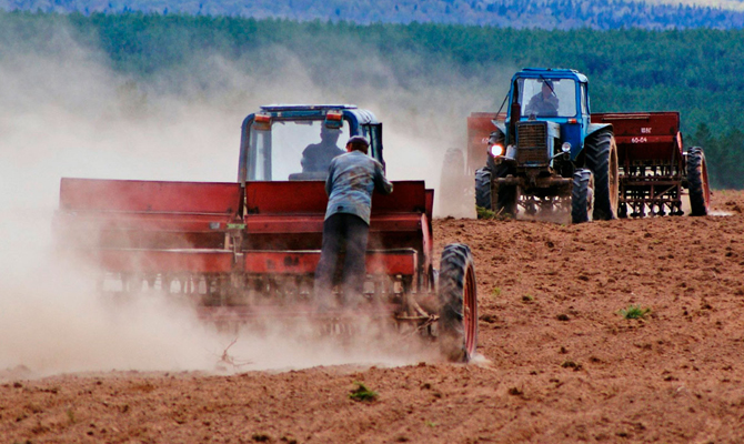 Названа стоимость посевной в 2017 году
