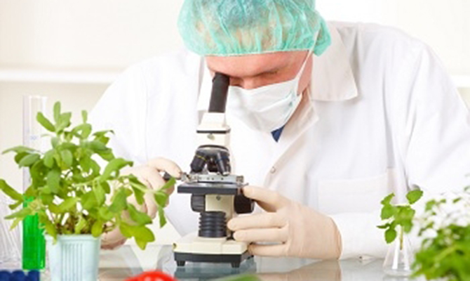 С нарушителей в сфере рыночного надзора в бюджет взыскали всего миллион гривен, - Госпродпотребслужба