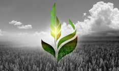 Аграрный фонд планирует законтрактовать 760 тыс. тонн зерна