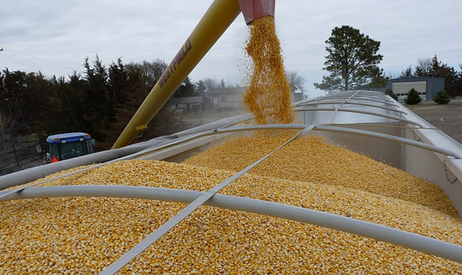Украина возобновила поставки кукурузы в Южную Корею