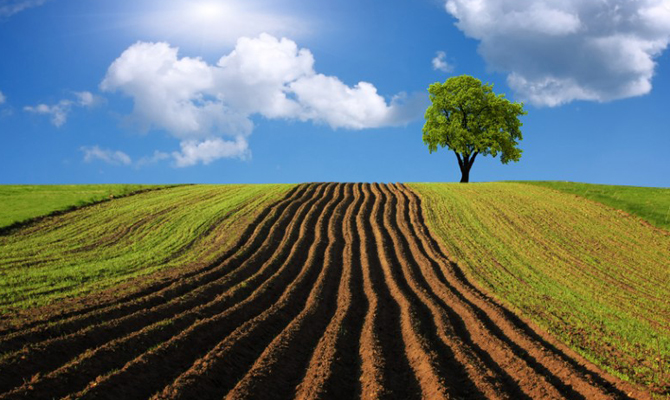 «Батькивщина» инициирует референдум о запрете продажи земли