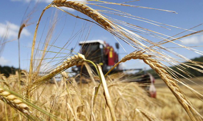 Эксперты повысили прогноз урожая зерновых в Украине