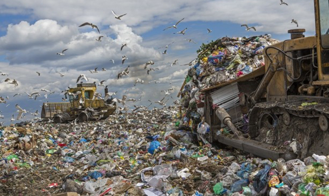 Британцы планируют инвестировать в переработку мусора в Днепре