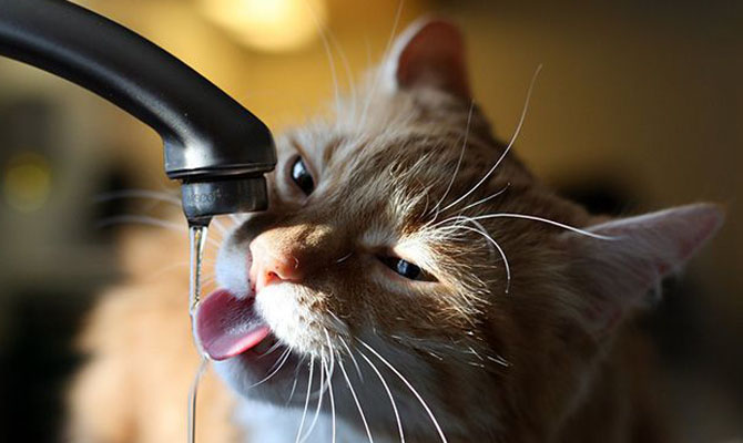 В Киеве начали отключать горячую воду