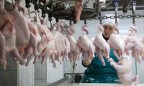 Украина в первом квартале увеличила экспорт мяса