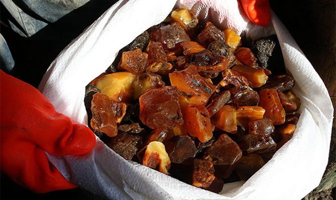 Янтарный мир Ровненской области: бизнес для всех