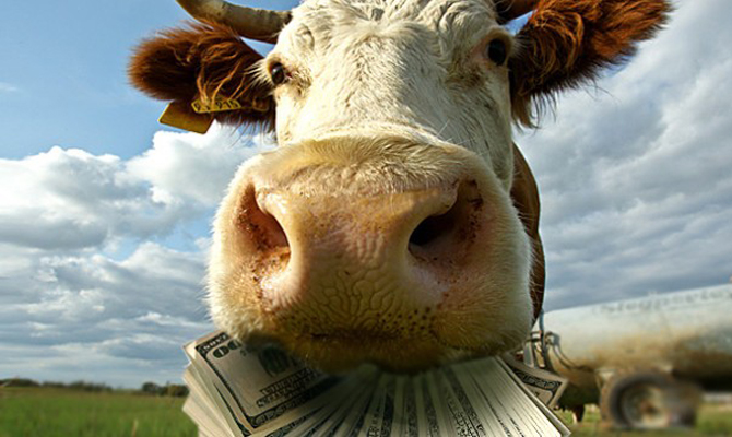 Аграриям выплатили 79,8 млн гривен дотаций за февраль