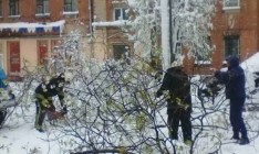 Из-за непогоды в Украине обесточено более 500 населенных пунктов, - ГСЧС