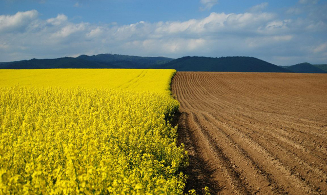 «Батькивщина» передала в ЦИК документы для земельного референдума