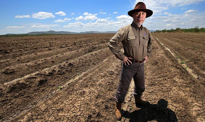 Китайская компания планирует создать сельскохозяйственный парк в Украине, – Кутовой