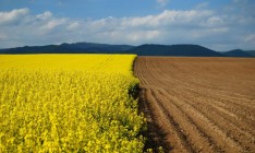 «Батькивщина» передала в ЦИК документы для земельного референдума