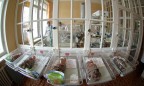 Во Львове обещают открыть перинатальный центр до конца года