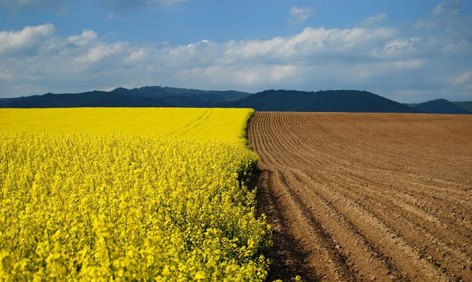 Фонд гарантирования вкладов продает агрокомпанию