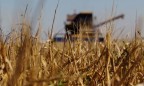USDA прогнозирует урожай зерна в Украине на уровне 61,8 млн тонн в 2017