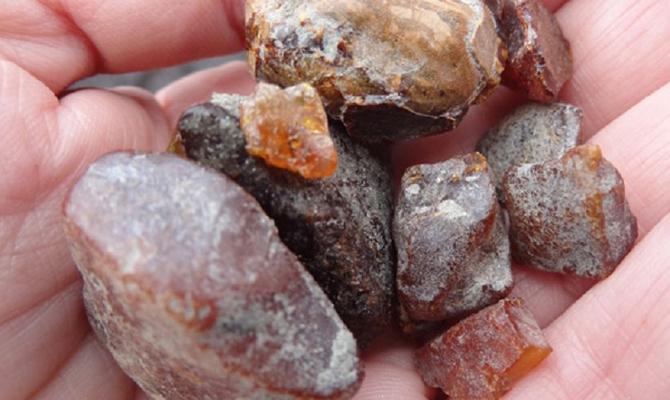 В Житомирской области будут легально добывать янтарь