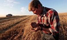 Украина планирует собирать до 92 млн тонн урожая зерновых к 2020 году, - УЗА